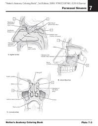 Amazon Prime Now Netter S Anatomy Coloring Book With Student Consult Access Anatomy Coloring Book Coloring Books Coloring Book Pages