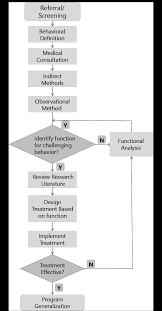 chapter 2 the methodology of functional assessment