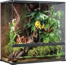Foto Terarium Exo Terra 90 X 45 X 90 Cm Glass Terrarium Terrarium Terarium