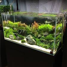 Aquascape Greenaqua Aquarium Nature Planted Tank Ada Aquarium Design Aquarium Decorations Aquarium