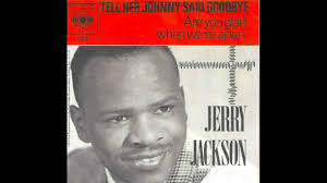 Tell her Johnny said goodbye (STEREO)