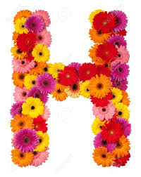 Letter H Flower Alphabet Isolated On White Background
