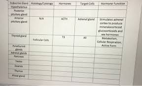 Solved I Am Positive The Ones On My Chart Are Correct Ca