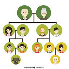 This guide to the family tree podcast by family tree magazine highlights the best episodes from the show's past ten years, as well as a few favorite episode. Family Tree In English Diagram Quizlet