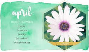 Birth Flowers For Each Month Of The Year April Birth Flower Daisy Ftd Com April Birth Flower Birth Flowers Birth Month Flowers