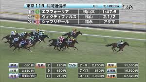 2021年02月14日 (日) 15時50分 東京11rの第55回 共同通信杯 (3歳・giii・芝1800m)は4番人気 エフフォーリア (横山武史騎手)が勝利した。 å…±åŒé€šä¿¡æ¯ã®ãƒ‹ãƒ¥ãƒ¼ã‚¹ æœ€æ–°æƒ…å ± ç«¶é¦¬ã¾ã¨ã‚ Netkeiba Com