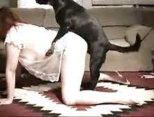 A bela e peituda natasha malkova gosta de transar com cachorros. Cachorro Engatado Tube Search 21 Videos
