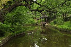 It is amazing for curious children and adults alike to watch seeds in their garden grow and then nurture them into something much larger than the tiny. An Afternoon In Changdeokgung S Secret Garden Seoul South Korea Live Travel Teach