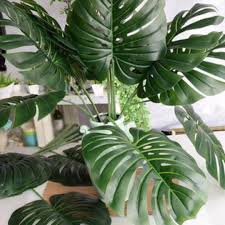 Such factors include the cost of equipment, system reliability, and processing fees. China Embellish Flowers For Wholesales And Retail Fresh Cut Leaves Tortoise Dorsal Leaf Monstera For Decoration Photos Pictures Made In China Com