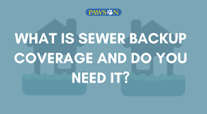 A sewer backup can cause significant damage to the interior of the home. What Is Sewer Backup Coverage And Do You Need It Pawson