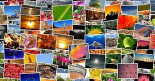 Aggiungere una cornice per foto è probabilmente il modo più semplice per fare immagine unica. Creare Collage Di Foto E Immagini Migliori Programmi E Web App Navigaweb Net