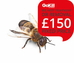 Each year, many people get stung because they attempted to remove a large number of bees or wasps from their homes. Need A Bee Nest Treatment Gokill Manchester Pest Control Can Help
