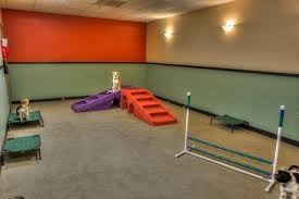 Dog Trouble? This Pet Service Shop May Come to the Rescue