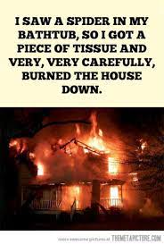 Check spelling or type a new query. Burn The House Down Memes
