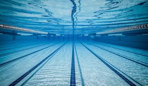 Image result for swimming pools