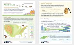 Animal Migration Activity Guide For Elementary Kids Stem Skills Math Engineering Science Technology Migration Activities Activities Nature Activities