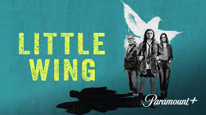 Prime Video: Jerry & Marge Go Large