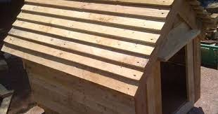 Comment Construire Une Niche Pour Chien En Palette Le Tutoriel
