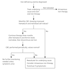 iron deficiency anemia evaluation and management american