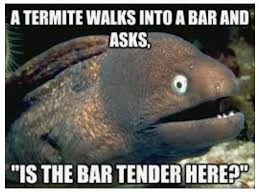 See more of vortex termite and pest control on facebook. Ortex Termite Pest Control Home Facebook