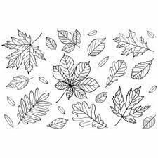 Fall Leaf Outline Png Fall Leaves Outline Clipart Fall Png 621308 Pngtube Leaf Images Leaf Outline Autumn Leaves