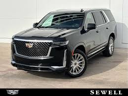 Image result for Black Raven 2006 SRX