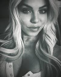 Brisket egg rolls at Willy Taco