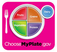 Start simple with myplate app. Myplate Fruit Veg Grains Dairy And Protein