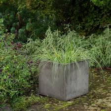 Buy Square terrace planter - weathered cement: Delivery by Waitrose Garden