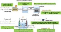 Image result for what do biologists do at wastewater treatment