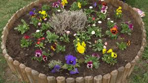 .gradina urbana gradini amenajate imobiliare legumicultura modele case pentru tineri plante de gradina planuri case poze case. Design Divers Prima Vedere CumpÄƒrare Vanzare Cauciucuri Folosite In Gradina Picturacameracopii Ro