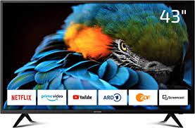 DYON D800169 Smart 43 XT 108 cm (43 Zoll) Fernseher (Full-HD Smart TV, HD  Triple Tuner (DVB-C/-S2/-T2), Prime Video, Netflix, YouTube & HbbTV, WLAN,  Hotel Modus), Schwarz : Amazon.de: Elektronik & Foto