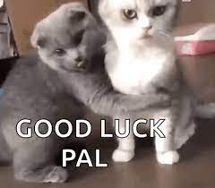 This is a really cute piece you need better paper lol. Good Luck Cat Gifs Tenor