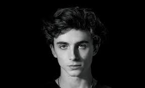 Timothée hal chalamet was born in manhattan, to nicole flender, a real estate broker and dancer, and marc chalamet, a unicef editor. Timothee Chalamet Unfurls His Many Contradictions With Beautiful Boy Deadline