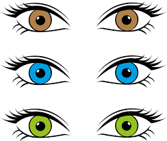 Welche haarfarbe passt zu grau grünen augen grüne augen schminken rosa schlicht idee lipgloss glanz welches haarfarbe passt. Passend Zur Augenfarbe Die Richtige Haarfarbe Wahlen