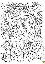 page 13 sur 16 hugolescargot com coloriage oiseaux images cachees nain heureux