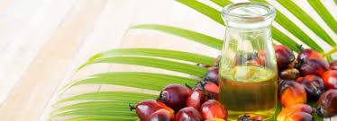 Aceite de palma, african palm oil, crude palm oil, elaeis guineensis, elaeis melanococca, fractionated palm kernel oil, huile de palme. Benefits Of Palm Oil And Its Side Effects Lybrate