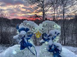 Image result for Holland Blue 2024 Fleet