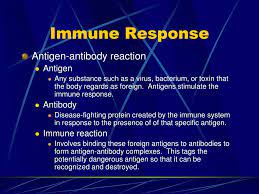 Ppt Lymphatic Immune Systems Powerpoint Presentation Free Download Id 5134267