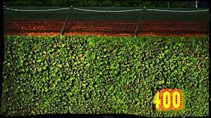 Check spelling or type a new query. Wrigley Field Ivy Cubs Wrigley Field Wrigley Field Ivy Go Cubs Go