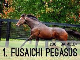 The Top 10 Most Expensive Racehorses A Haiku Deck By Kaelyn Mcglone Horse Racing Pegasus Horses
