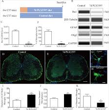 Pubmed® comprises more than 32 million citations for biomedical literature from medline, life science journals, and online books. Depletion Of Microglia Exacerbates Injury And Impairs Function Recovery After Spinal Cord Injury In Mice Cell Death Disease
