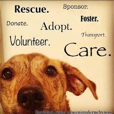 In keeping with the state of vermont guidelines persons who are fully covid19 vaccinated do not need to wear masks but we do ask that you respect distancing as possibe. Good Karma Rescue Inc Vt Home Facebook