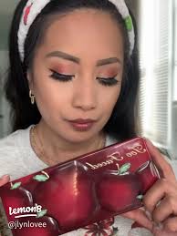 Review of the Too Faced Better Than Chocolate Palette