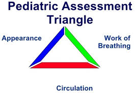 Image result for Pediatric Assessment Triangle