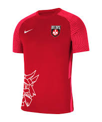 Fc kaiserslautern für die saison 2021/2022. Nike 1 Fc Kaiserslautern Trikot E Sports Rot F657 Teamsport Flock Nummer
