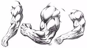 Drawing Muscular Stylized Arms For Comics Demonstration Youtube About 0% of these are physical therapy a wide variety of bicep muscles options are available to you, such as function, warranty, and application. drawing muscular stylized arms for comics demonstration