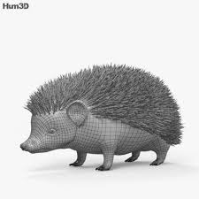 Hedgehog Hd Graphic Design Projects Hedgehog 3d Model