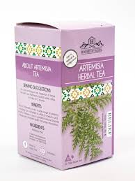 Image result for Artemisia afra