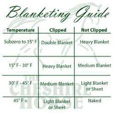Blanketing Guide Horse Facts Horses Horse Information